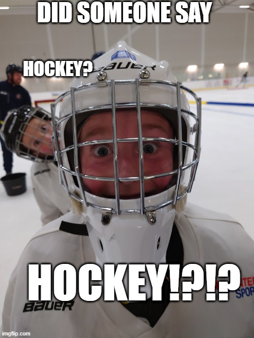 DID SOMEONE SAY; HOCKEY? HOCKEY!?!? | made w/ Imgflip meme maker