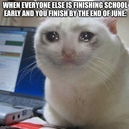 Crying cat | WHEN EVERYONE ELSE IS FINISHING SCHOOL EARLY AND YOU FINISH BY THE END OF JUNE: | image tagged in crying cat,funny memes,summer vacation | made w/ Imgflip meme maker