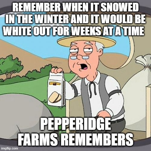 Pepperidge Farm Remembers | REMEMBER WHEN IT SNOWED IN THE WINTER AND IT WOULD BE WHITE OUT FOR WEEKS AT A TIME; PEPPERIDGE FARMS REMEMBERS | image tagged in memes,pepperidge farm remembers,AdviceAnimals | made w/ Imgflip meme maker