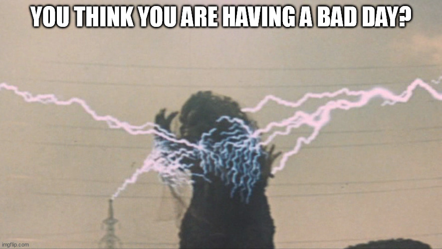 Bad day. | YOU THINK YOU ARE HAVING A BAD DAY? | image tagged in godzilla approved | made w/ Imgflip meme maker