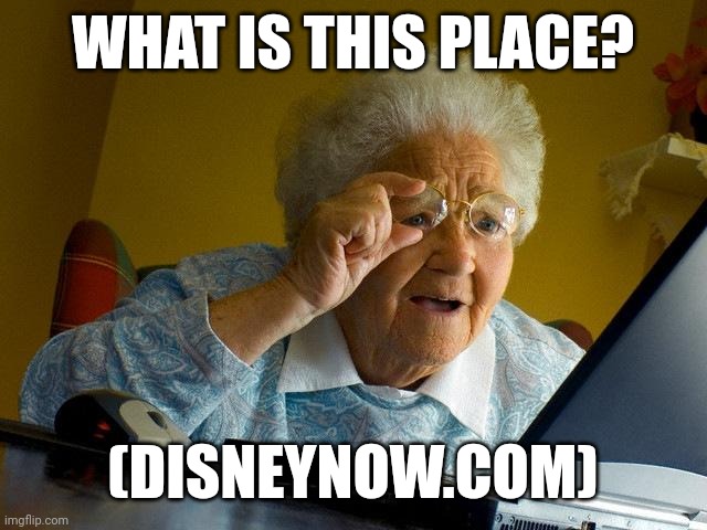 What is this? | WHAT IS THIS PLACE? (DISNEYNOW.COM) | image tagged in memes,grandma finds the internet,disney,disneynow | made w/ Imgflip meme maker