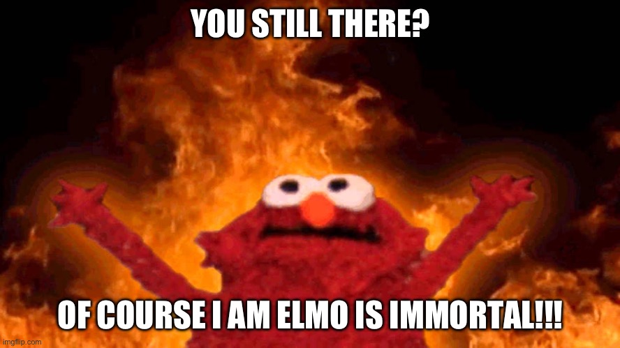elmo fire | YOU STILL THERE? OF COURSE I AM ELMO IS IMMORTAL!!! | image tagged in elmo fire | made w/ Imgflip meme maker