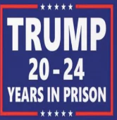 High Quality Trump 2024 20-24 years in prison Blank Meme Template
