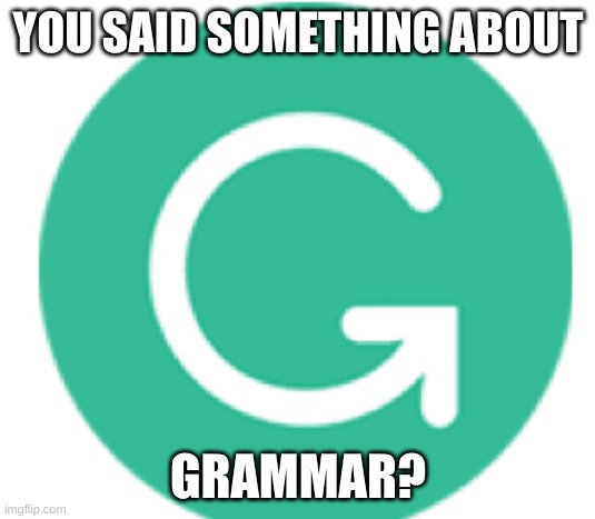 YOU SAID SOMETHING ABOUT GRAMMAR? | image tagged in grammarly | made w/ Imgflip meme maker