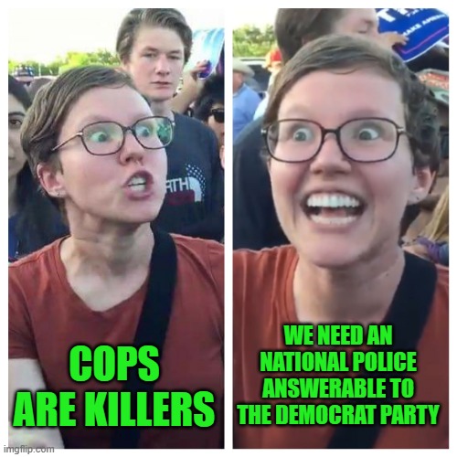 Yep | WE NEED AN NATIONAL POLICE ANSWERABLE TO THE DEMOCRAT PARTY; COPS ARE KILLERS | image tagged in hypocrite liberal | made w/ Imgflip meme maker