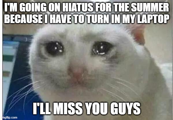 So long, farewell | I'M GOING ON HIATUS FOR THE SUMMER BECAUSE I HAVE TO TURN IN MY LAPTOP; I'LL MISS YOU GUYS | image tagged in crying cat | made w/ Imgflip meme maker