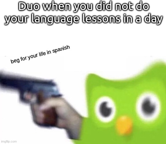 Duo when you did not do your language lessons in a day; beg for your life in spanish | image tagged in blank white template,duolingo gun | made w/ Imgflip meme maker