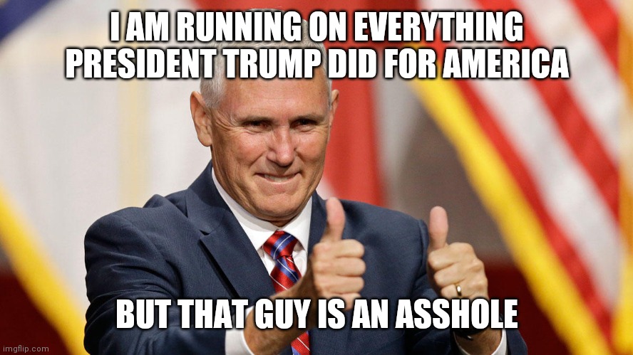 I Am a Jr. Whopper without Cheese | I AM RUNNING ON EVERYTHING PRESIDENT TRUMP DID FOR AMERICA; BUT THAT GUY IS AN ASSHOLE | image tagged in mike pence for president,desantis vp,see nobody cares,trump 24 | made w/ Imgflip meme maker