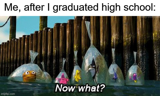 What am I doing with my life? | Me, after I graduated high school: | image tagged in now what,high school,graduation | made w/ Imgflip meme maker