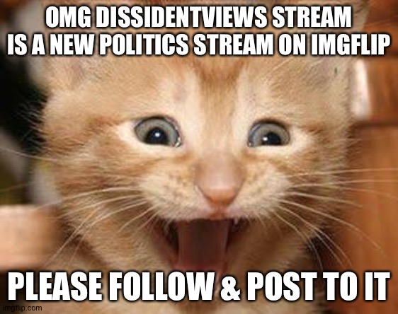 Excited Cat | OMG DISSIDENTVIEWS STREAM IS A NEW POLITICS STREAM ON IMGFLIP; PLEASE FOLLOW & POST TO IT | image tagged in memes,excited cat | made w/ Imgflip meme maker