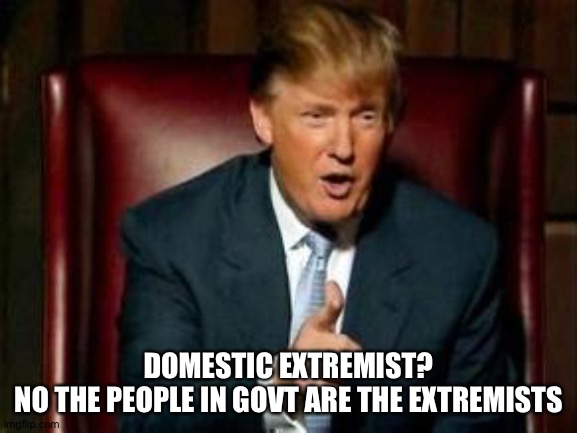 Donald Trump | DOMESTIC EXTREMIST?
NO THE PEOPLE IN GOVT ARE THE EXTREMISTS | image tagged in donald trump | made w/ Imgflip meme maker