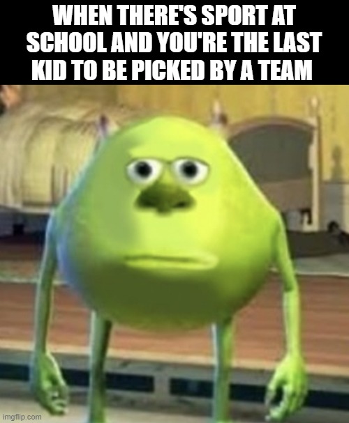 It's awful when it happens | WHEN THERE'S SPORT AT SCHOOL AND YOU'RE THE LAST KID TO BE PICKED BY A TEAM | image tagged in mike wazowski face swap | made w/ Imgflip meme maker