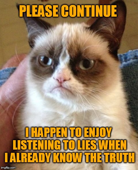 Grumpy Cat Meme | PLEASE CONTINUE I HAPPEN TO ENJOY LISTENING TO LIES WHEN I ALREADY KNOW THE TRUTH | image tagged in memes,grumpy cat | made w/ Imgflip meme maker