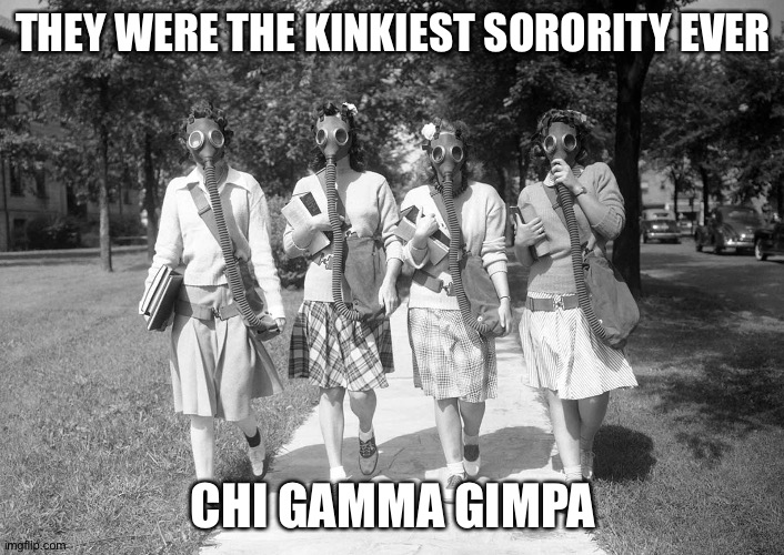 THEY WERE THE KINKIEST SORORITY EVER; CHI GAMMA GIMPA | image tagged in memes | made w/ Imgflip meme maker