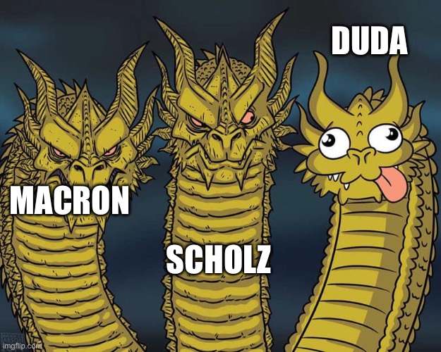 Three dragons | DUDA; SCHOLZ; MACRON | image tagged in three dragons | made w/ Imgflip meme maker