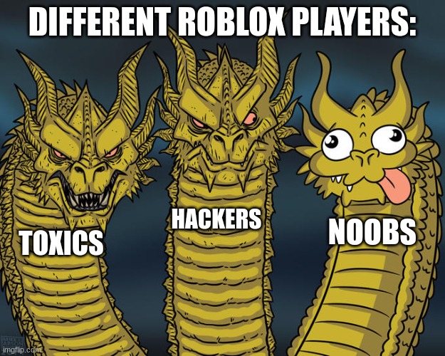oof | DIFFERENT ROBLOX PLAYERS:; HACKERS; NOOBS; TOXICS | image tagged in three-headed dragon | made w/ Imgflip meme maker