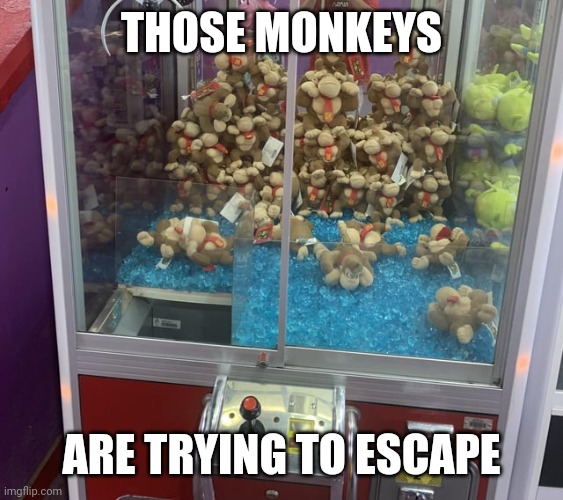 monke | THOSE MONKEYS; ARE TRYING TO ESCAPE | image tagged in funny,memes,mario,donkey kong | made w/ Imgflip meme maker