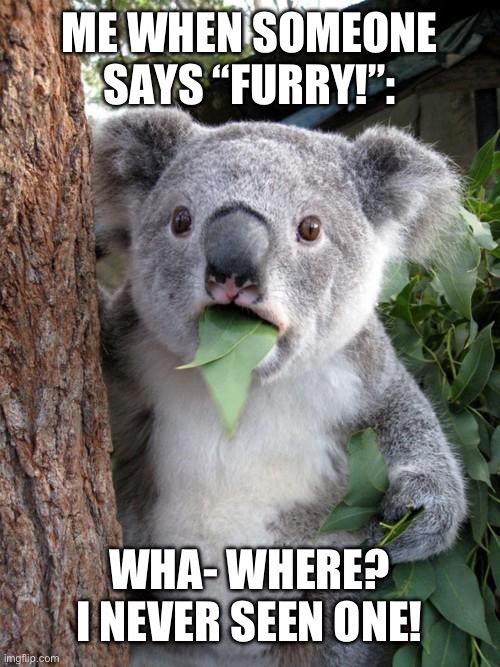 Seriously though, why are people stating the most OBVIOUS??? | ME WHEN SOMEONE SAYS “FURRY!”:; WHA- WHERE? I NEVER SEEN ONE! | image tagged in memes,furry memes,furry,furries | made w/ Imgflip meme maker
