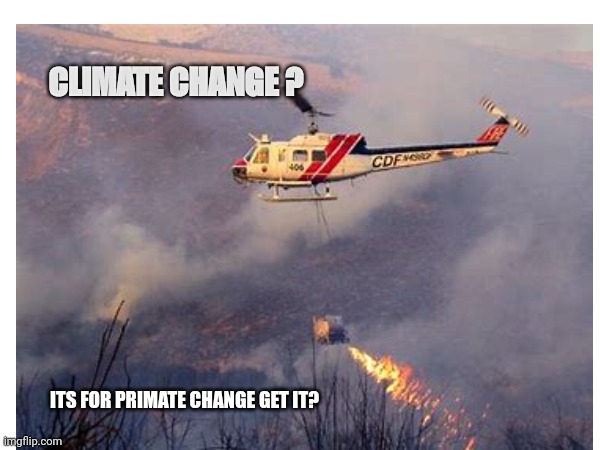 Crimeate | CLIMATE CHANGE ? ITS FOR PRIMATE CHANGE GET IT? | image tagged in climate | made w/ Imgflip meme maker