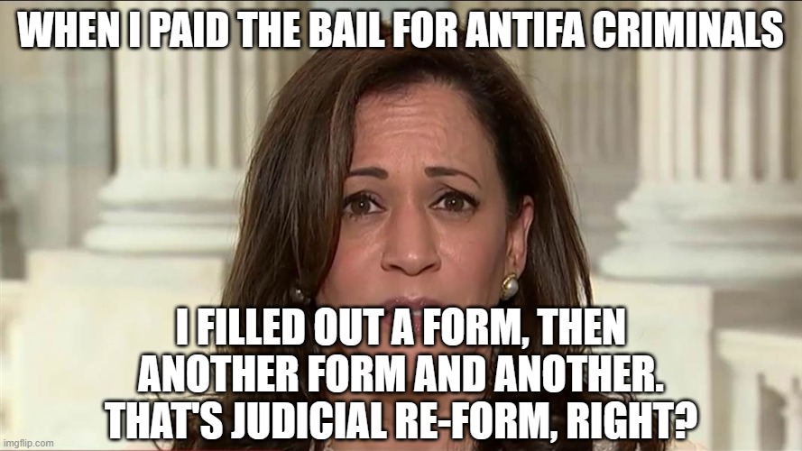 kamala harris | WHEN I PAID THE BAIL FOR ANTIFA CRIMINALS I FILLED OUT A FORM, THEN ANOTHER FORM AND ANOTHER.
THAT'S JUDICIAL RE-FORM, RIGHT? | image tagged in kamala harris | made w/ Imgflip meme maker