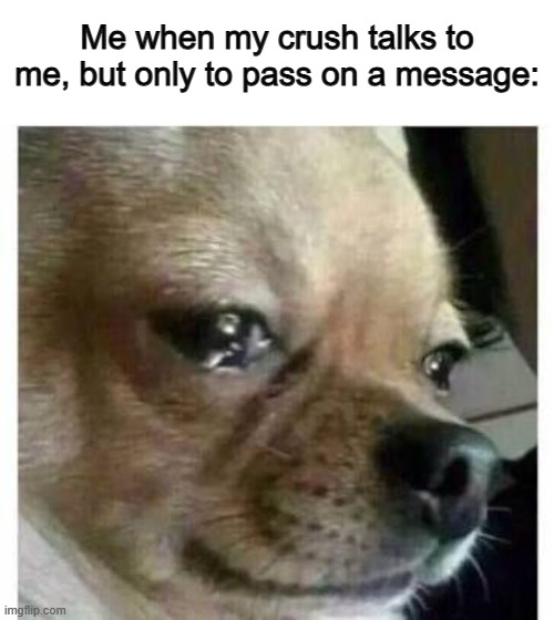 T~T | Me when my crush talks to me, but only to pass on a message: | image tagged in crying dog | made w/ Imgflip meme maker