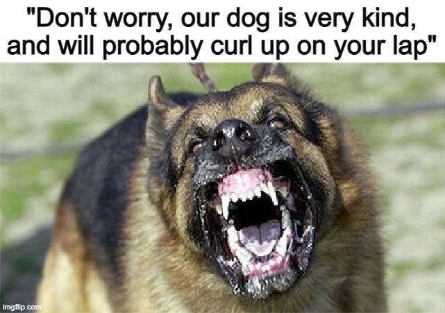 Doesn't look, sound, or feel like it... 0-0 | "Don't worry, our dog is very kind, and will probably curl up on your lap" | image tagged in cry 'havoc' and let slip the dogs of war | made w/ Imgflip meme maker