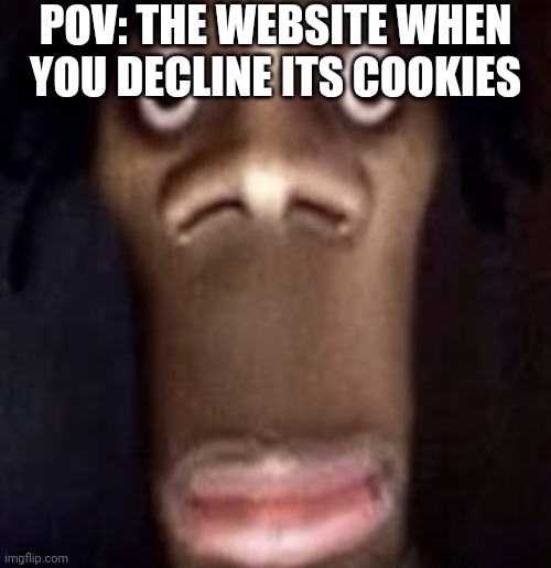 Quandale dingle | POV: THE WEBSITE WHEN YOU DECLINE ITS COOKIES | image tagged in quandale dingle | made w/ Imgflip meme maker