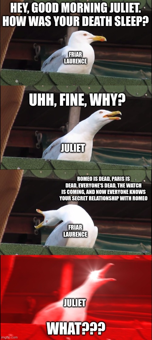 Spoiler for R + J but good! | HEY, GOOD MORNING JULIET. HOW WAS YOUR DEATH SLEEP? FRIAR LAURENCE; UHH, FINE, WHY? JULIET; ROMEO IS DEAD, PARIS IS DEAD, EVERYONE'S DEAD, THE WATCH IS COMING, AND NOW EVERYONE KNOWS YOUR SECRET RELATIONSHIP WITH ROMEO; FRIAR LAURENCE; JULIET; WHAT??? | image tagged in memes,inhaling seagull | made w/ Imgflip meme maker