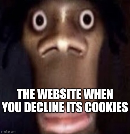 Quandale dingle | THE WEBSITE WHEN YOU DECLINE ITS COOKIES | image tagged in quandale dingle | made w/ Imgflip meme maker