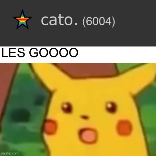 This is amazing! | LES GOOOO | image tagged in memes,surprised pikachu | made w/ Imgflip meme maker