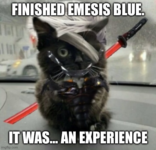 it was really good | FINISHED EMESIS BLUE. IT WAS… AN EXPERIENCE | image tagged in raiden cat | made w/ Imgflip meme maker