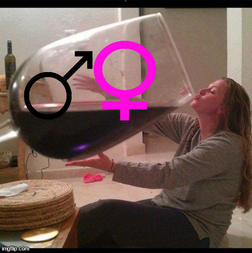 idk lol | image tagged in big ol wine glass | made w/ Imgflip meme maker