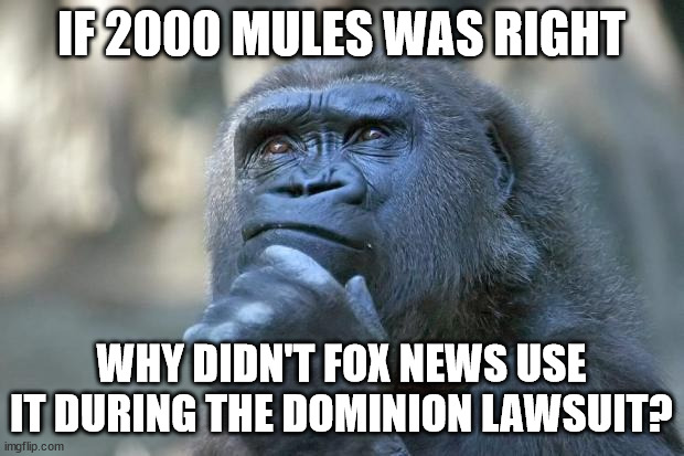 I mean, if it proves voter fraud... | IF 2000 MULES WAS RIGHT; WHY DIDN'T FOX NEWS USE IT DURING THE DOMINION LAWSUIT? | image tagged in that is the question,fox news,voter fraud | made w/ Imgflip meme maker