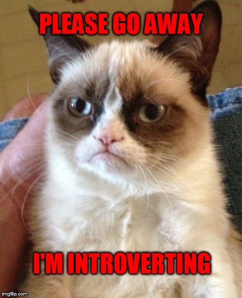 Grumpy Cat | PLEASE GO AWAY I'M INTROVERTING | image tagged in memes,grumpy cat | made w/ Imgflip meme maker