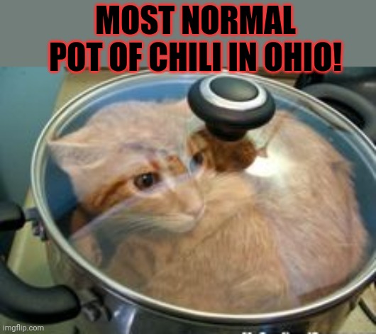 Only in Ohio | MOST NORMAL POT OF CHILI IN OHIO! | image tagged in only in ohio,chili,cats,nom nom nom | made w/ Imgflip meme maker
