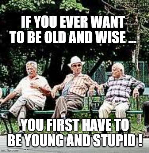 OLD AND WISE | IF YOU EVER WANT TO BE OLD AND WISE ... YOU FIRST HAVE TO BE YOUNG AND STUPID ! | image tagged in words of wisdom | made w/ Imgflip meme maker