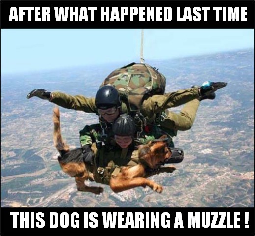 Parachuting Dog ! | AFTER WHAT HAPPENED LAST TIME; THIS DOG IS WEARING A MUZZLE ! | image tagged in dogs,parachute,biting,muzzle | made w/ Imgflip meme maker