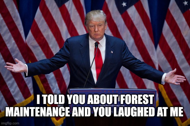 Donald Trump | I TOLD YOU ABOUT FOREST MAINTENANCE AND YOU LAUGHED AT ME | image tagged in donald trump | made w/ Imgflip meme maker