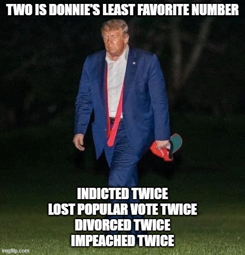 Sad Trump | TWO IS DONNIE'S LEAST FAVORITE NUMBER; INDICTED TWICE
LOST POPULAR VOTE TWICE
DIVORCED TWICE
IMPEACHED TWICE | image tagged in sad trump | made w/ Imgflip meme maker