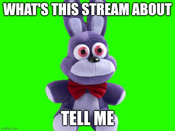 What Is It About | WHAT'S THIS STREAM ABOUT; TELL ME | image tagged in i need to know | made w/ Imgflip meme maker