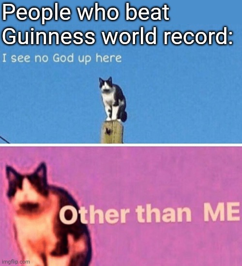 I think this can actually make you feel like a god | People who beat Guinness world record: | image tagged in hail pole cat | made w/ Imgflip meme maker