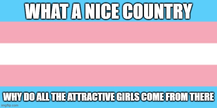 hummina hummina | WHAT A NICE COUNTRY; WHY DO ALL THE ATTRACTIVE GIRLS COME FROM THERE | image tagged in transgender | made w/ Imgflip meme maker