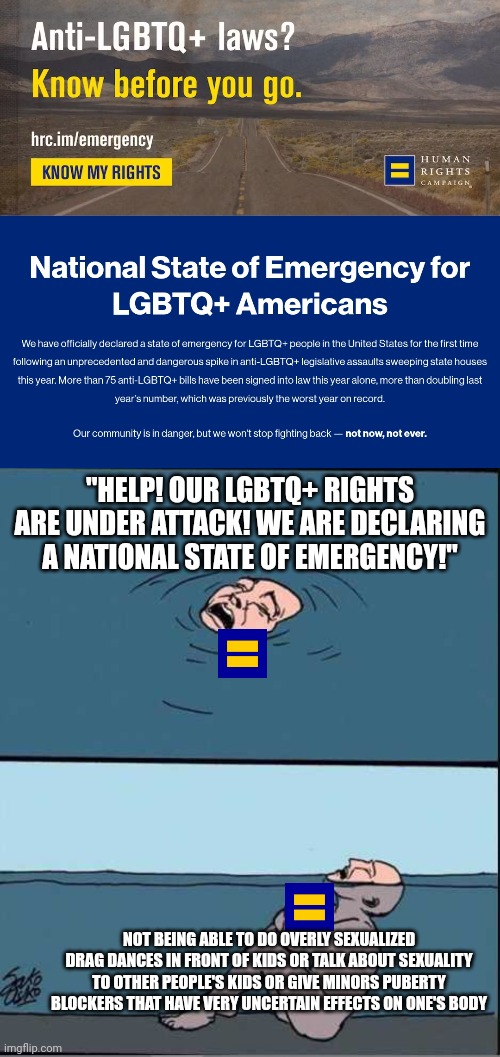 "Human rights campaign" declares a "National State of Emergency" | "HELP! OUR LGBTQ+ RIGHTS ARE UNDER ATTACK! WE ARE DECLARING A NATIONAL STATE OF EMERGENCY!"; NOT BEING ABLE TO DO OVERLY SEXUALIZED DRAG DANCES IN FRONT OF KIDS OR TALK ABOUT SEXUALITY TO OTHER PEOPLE'S KIDS OR GIVE MINORS PUBERTY BLOCKERS THAT HAVE VERY UNCERTAIN EFFECTS ON ONE'S BODY | image tagged in crying guy drowning,lgbtq,stupid liberals,liberal logic,sjws,first world problems | made w/ Imgflip meme maker