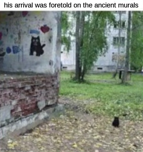 he has been summoned | his arrival was foretold on the ancient murals | image tagged in cat | made w/ Imgflip meme maker