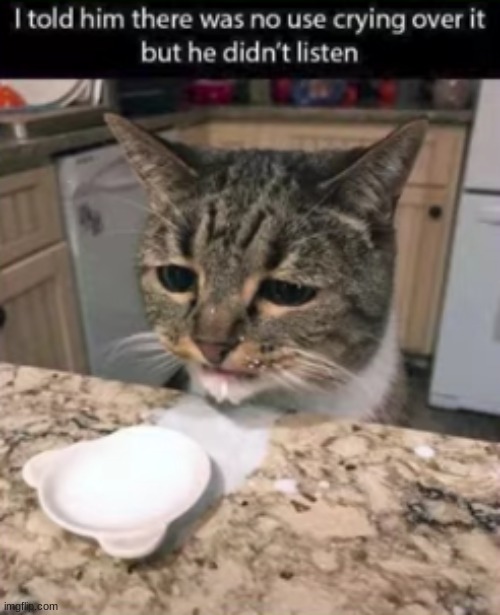 NOO DONT CRY PLEASE I WILL GET YOU MORE MILK | image tagged in milk,crying,cat | made w/ Imgflip meme maker