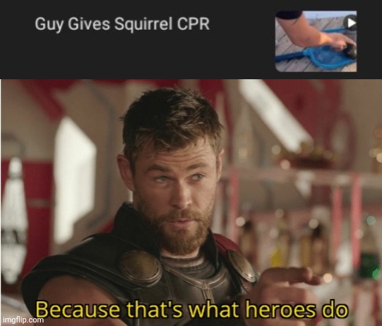 Giving a squirrel CPR | image tagged in that s what heroes do,squirrel,cpr,memes,squirrels,animals | made w/ Imgflip meme maker