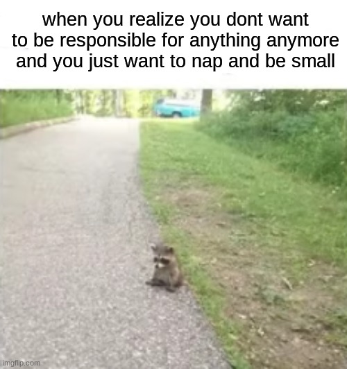 i just want smol and slep | when you realize you dont want to be responsible for anything anymore and you just want to nap and be small | image tagged in sleep,small,cute | made w/ Imgflip meme maker
