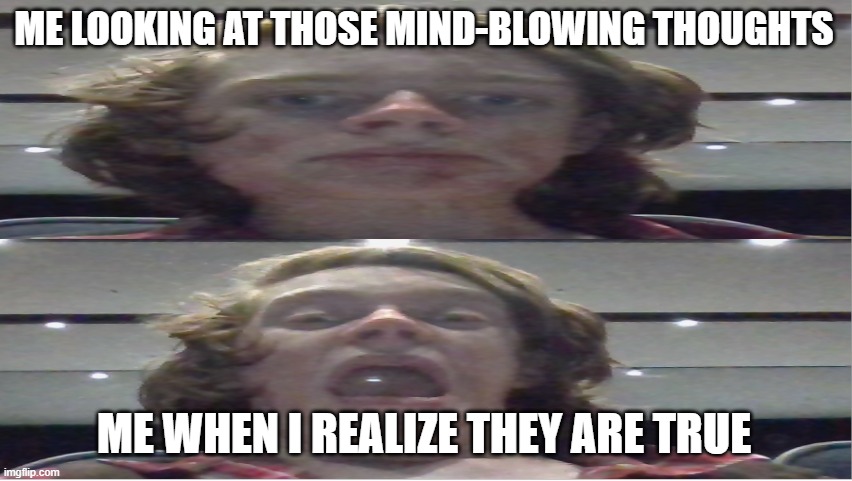 Gahahahaha look at all these.... oh | ME LOOKING AT THOSE MIND-BLOWING THOUGHTS; ME WHEN I REALIZE THEY ARE TRUE | image tagged in screaming for the wrong reasons,blow my mind | made w/ Imgflip meme maker