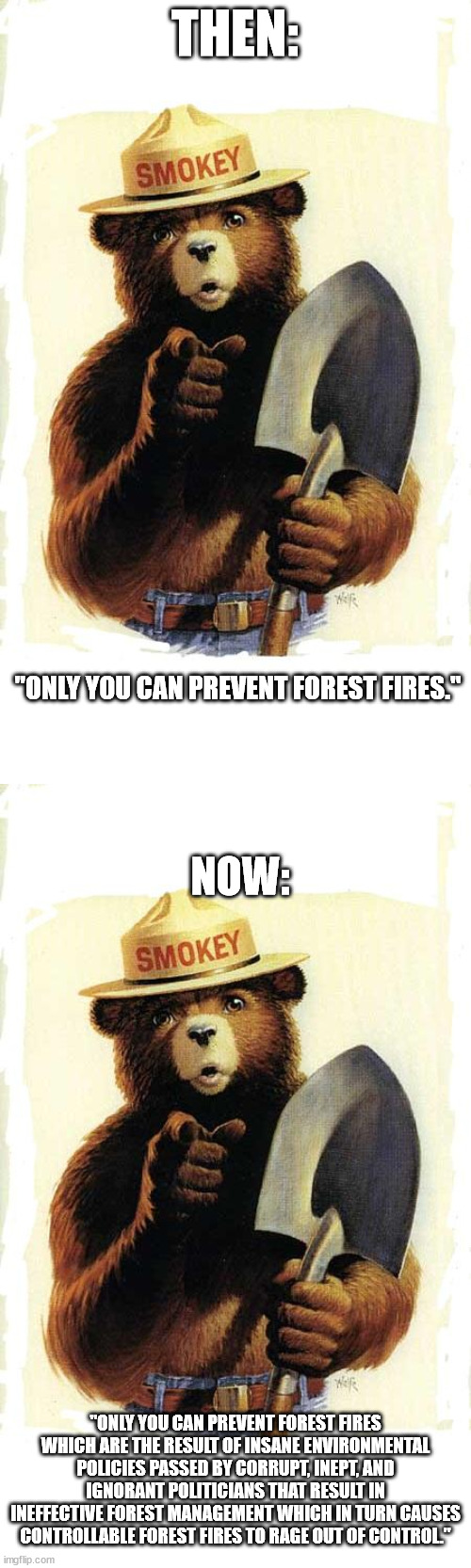 Heard enough lies from environmentalcases and climate change people. Time for some truth from a conservationist. | THEN:; "ONLY YOU CAN PREVENT FOREST FIRES."; NOW:; "ONLY YOU CAN PREVENT FOREST FIRES WHICH ARE THE RESULT OF INSANE ENVIRONMENTAL POLICIES PASSED BY CORRUPT, INEPT, AND IGNORANT POLITICIANS THAT RESULT IN INEFFECTIVE FOREST MANAGEMENT WHICH IN TURN CAUSES CONTROLLABLE FOREST FIRES TO RAGE OUT OF CONTROL." | image tagged in smokey the bear,conservation,environmental,stupid liberals | made w/ Imgflip meme maker