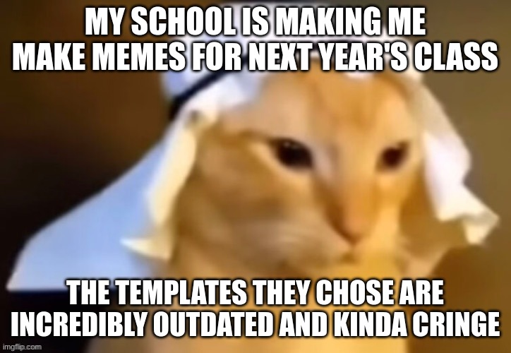 haram cat | MY SCHOOL IS MAKING ME MAKE MEMES FOR NEXT YEAR'S CLASS; THE TEMPLATES THEY CHOSE ARE INCREDIBLY OUTDATED AND KINDA CRINGE | image tagged in haram cat | made w/ Imgflip meme maker